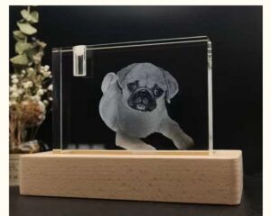 Gifts for pet lover, 3d crystal photo