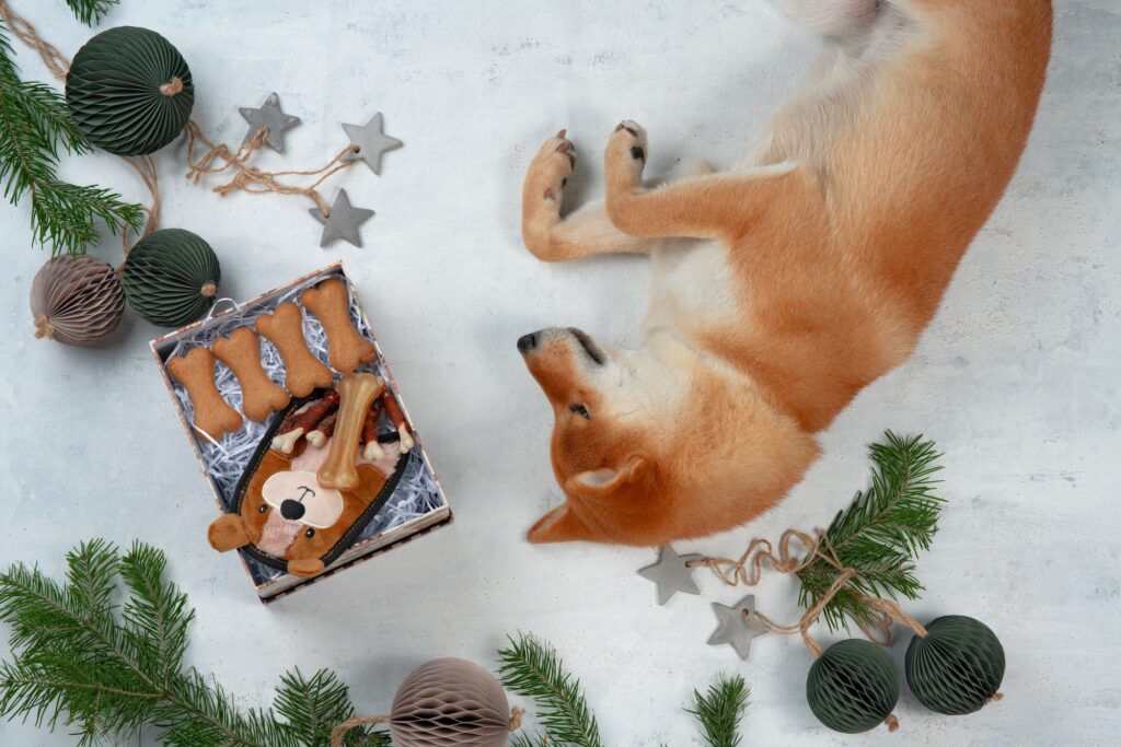 Pet Christmas Gifts. Pet gifts.