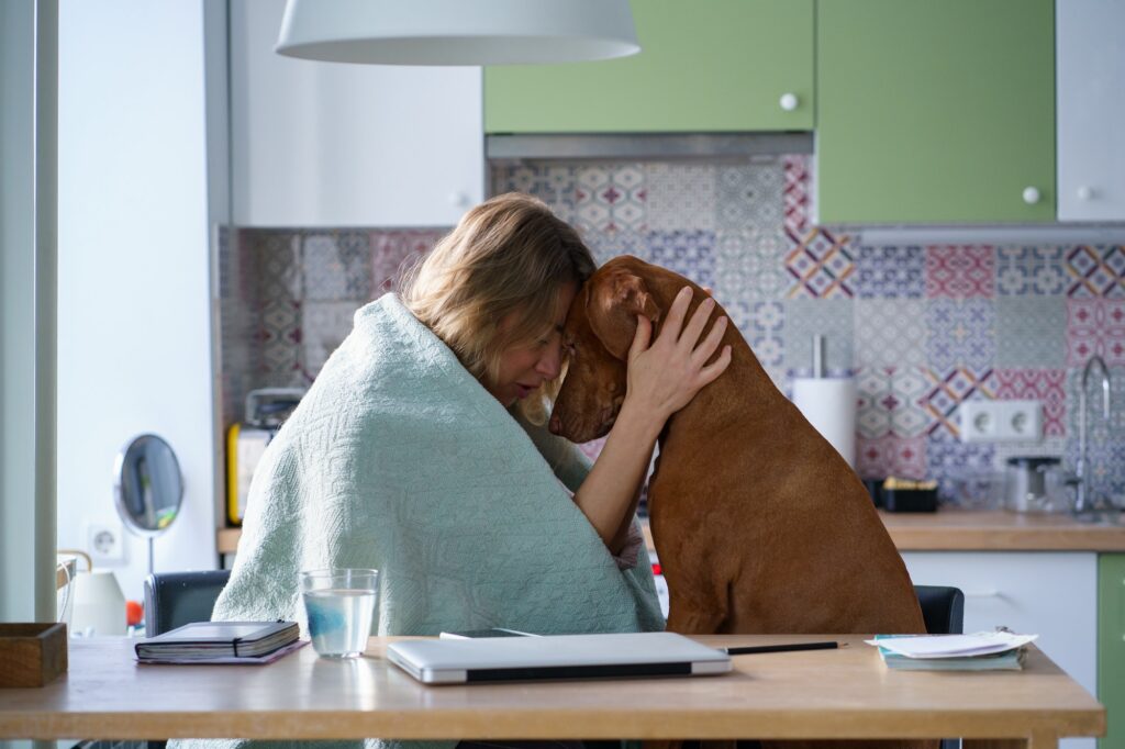 Support from pet friend: crying woman hug comforting dog sit in kitchen tired of search of new job