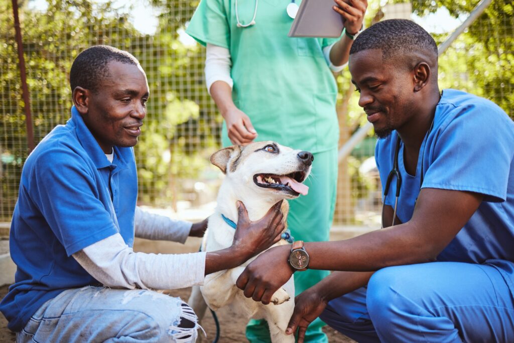 Veterinary, group and doctor with dog while working in healthcare, wellness and animal health. Vet,