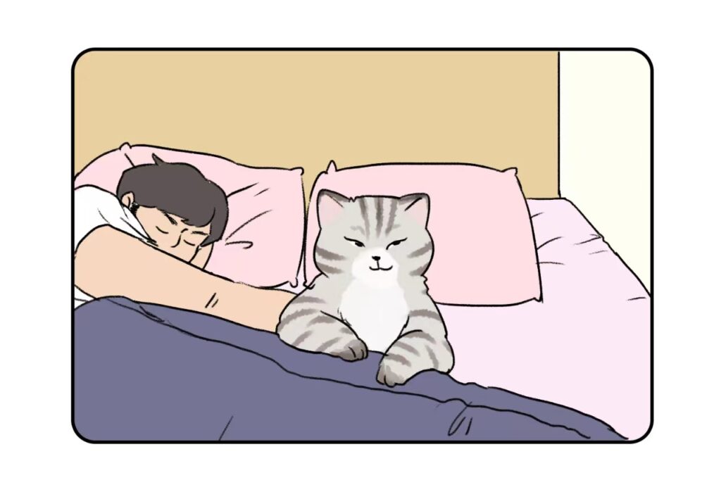 sleeping with cat