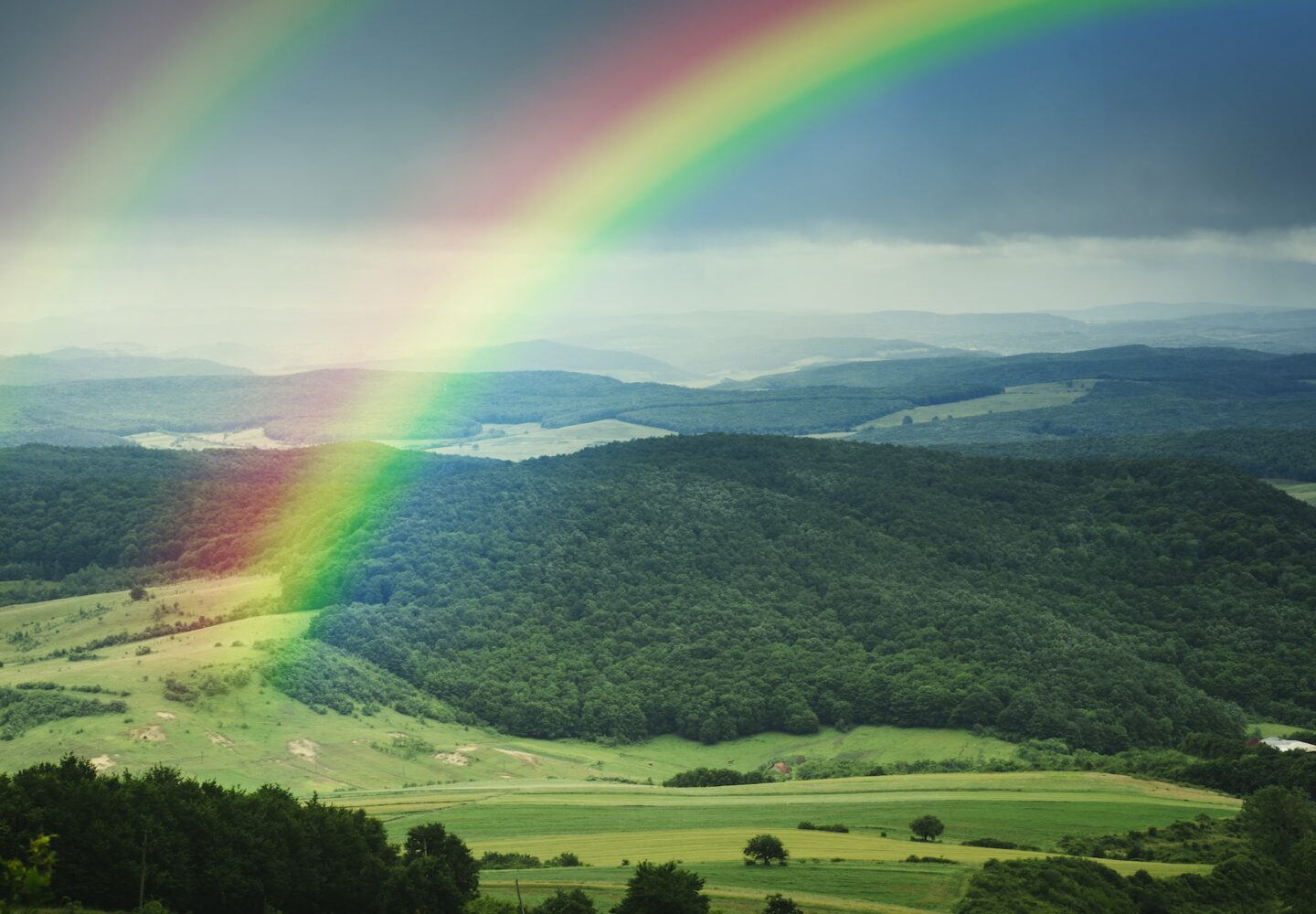 Green meadow,rainbow bridge world