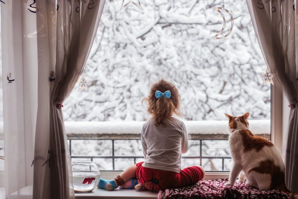 Little girl sits at the window with white ginger cat, red fish in an aquarium, looks out the window